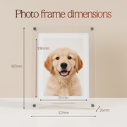 Digital Photo & Video Frame By Elvier