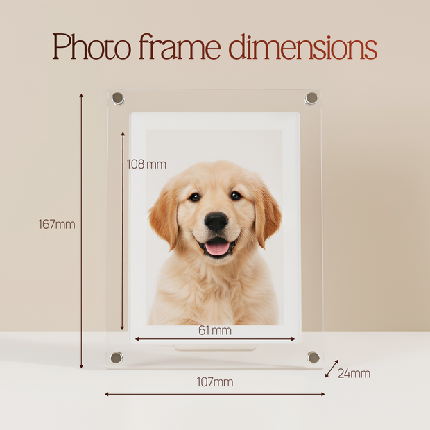 Digital Photo & Video Frame By Elvier